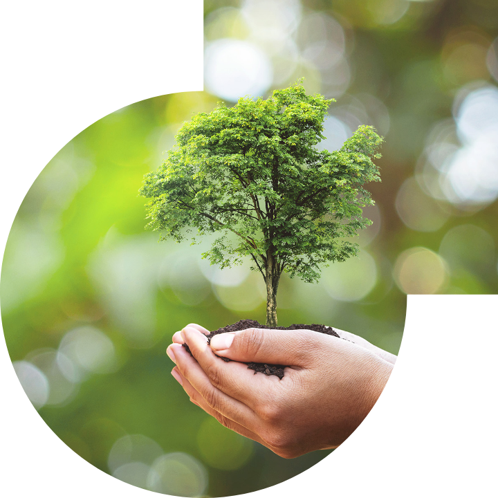 关怀人类、文化、环境与社会